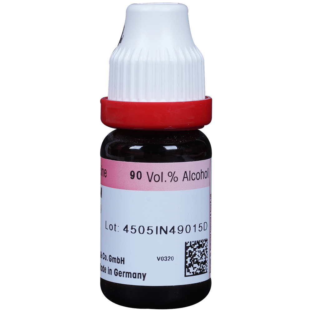 Dr. Reckeweg Lycopodium Dilution 1000 CH bottle of 11 ml Dilution