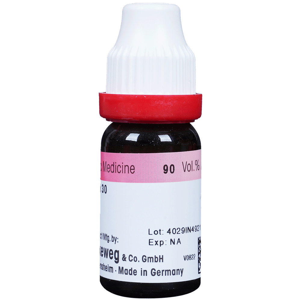 Dr. Reckeweg Ipecacuanha Dilution 30 CH bottle of 11 ml Dilution Dr. Reckeweg Ipecacuanha Dilution 30 CH bottle of 11 ml Dilution