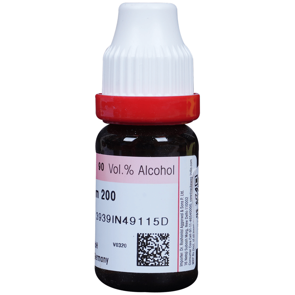 Dr. Reckeweg Hypericum Per Dilution 200 CH bottle of 11 ml Dilution