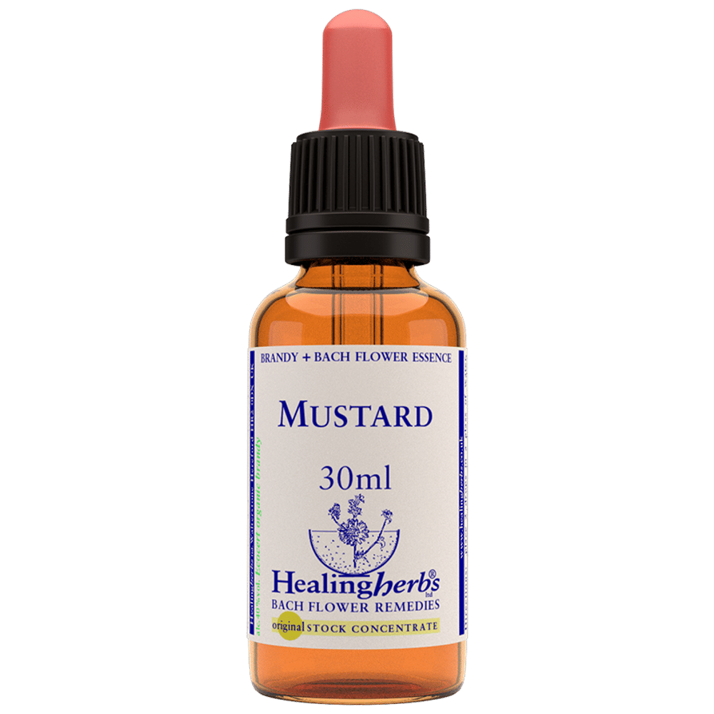 Healing Herbs Bach Flower Mustard bottle of 30 ml Liquid