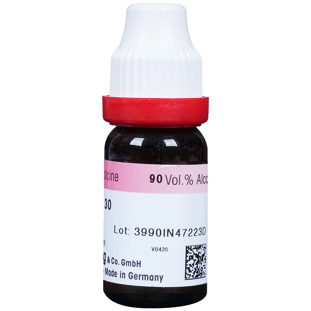 Dr. Reckeweg Influenzinum Dilution 30 CH bottle of 11 ml Dilution Dr. Reckeweg Influenzinum Dilution 30 CH bottle of 11 ml Dilution