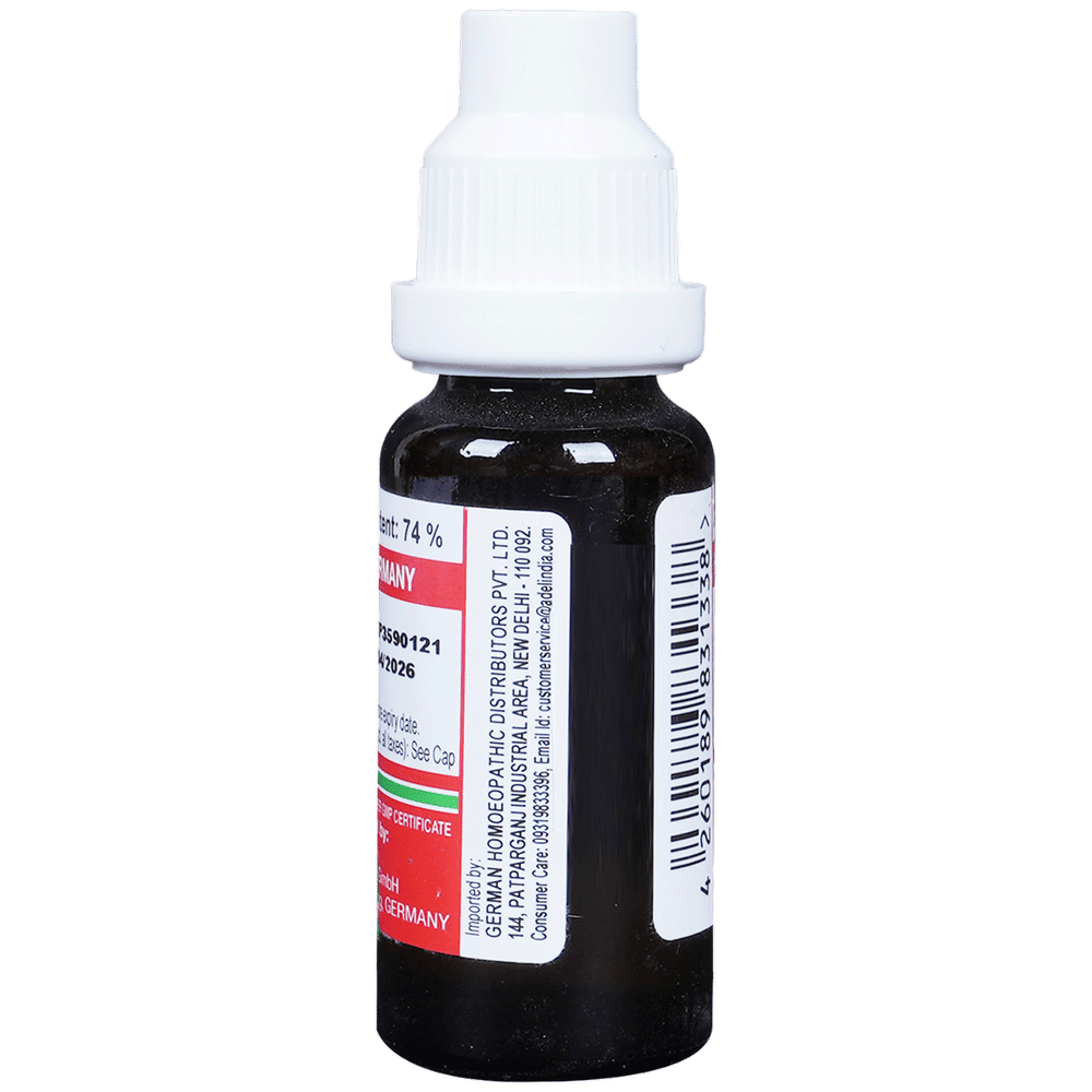 ADEL Ashwagandha Mother Tincture Q bottle of 20 ml Mother Tincture ADEL Ashwagandha Mother Tincture Q bottle of 20 ml Mother Tincture