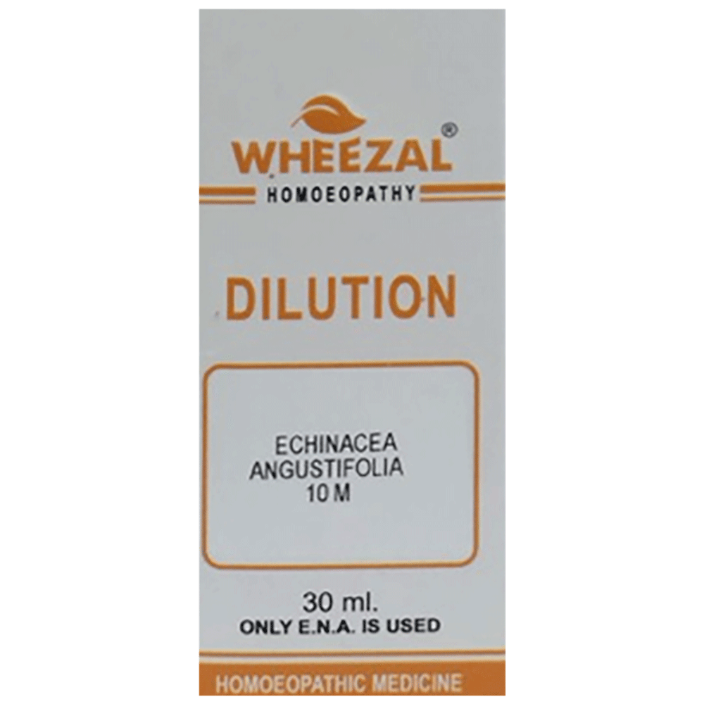Wheezal Echinacea Angustifolia Dilution 10M bottle of 30 ml Dilution