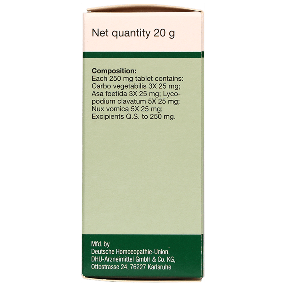 Dr Willmar Schwabe Germany Carbo Vegetabilis Pentarkan Ptk. 22 Tablet bottle of 20 gm Tablet