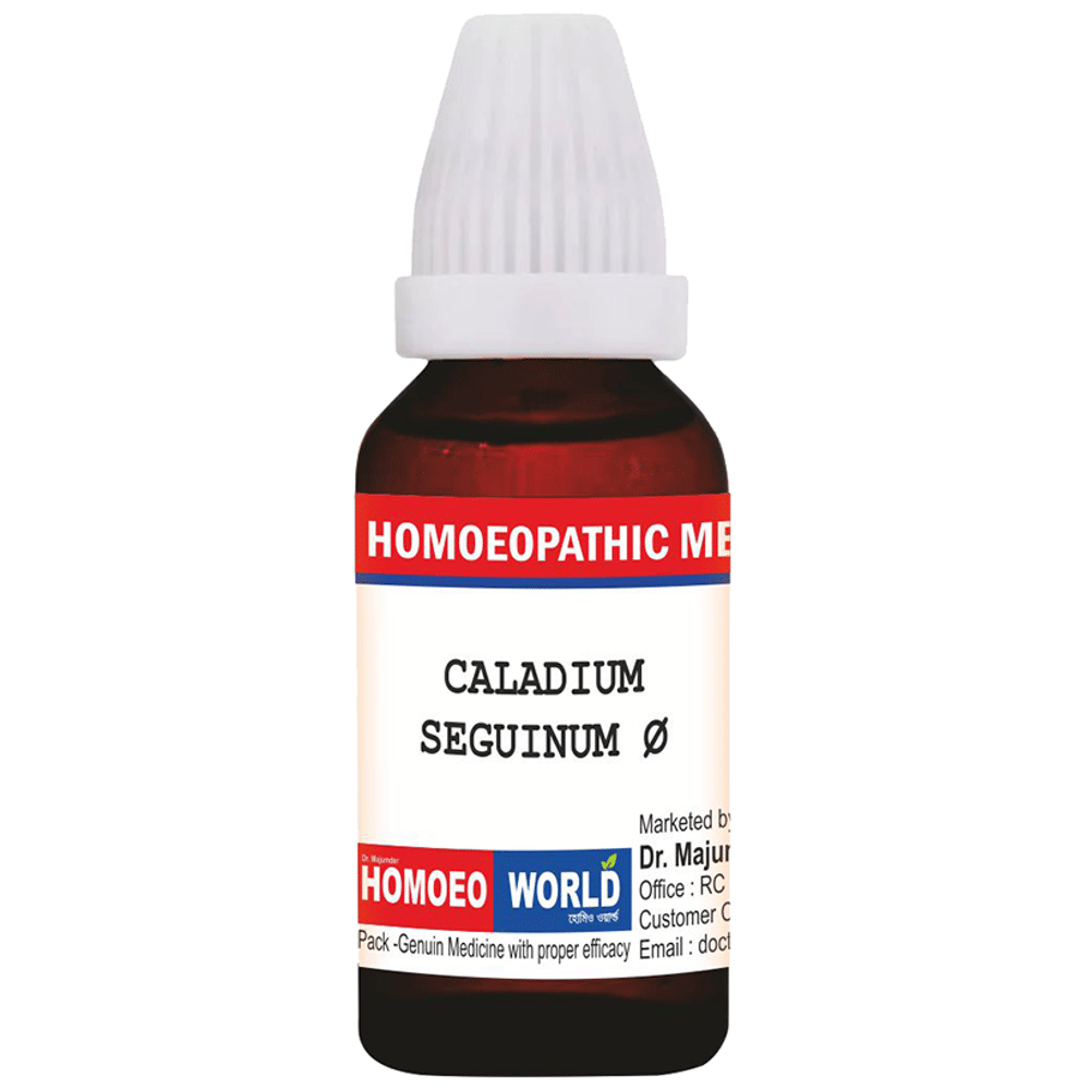 Dr. Majumder Homeo World Caladium Seguinum Mother Tincture (30ml Each)  Q box of 1 Bottle