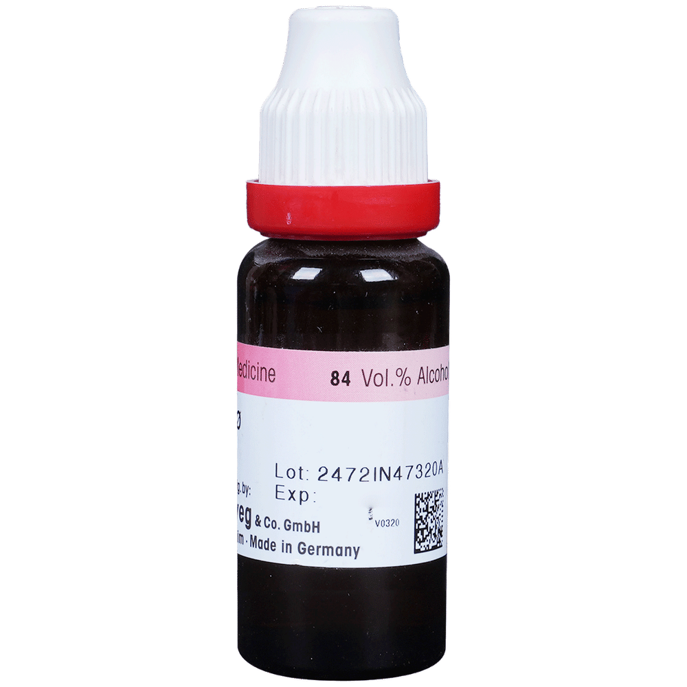 Dr. Reckeweg Camphora Mother Tincture Q bottle of 20 ml Mother Tincture Dr. Reckeweg Camphora Mother Tincture Q bottle of 20 ml Mother Tincture