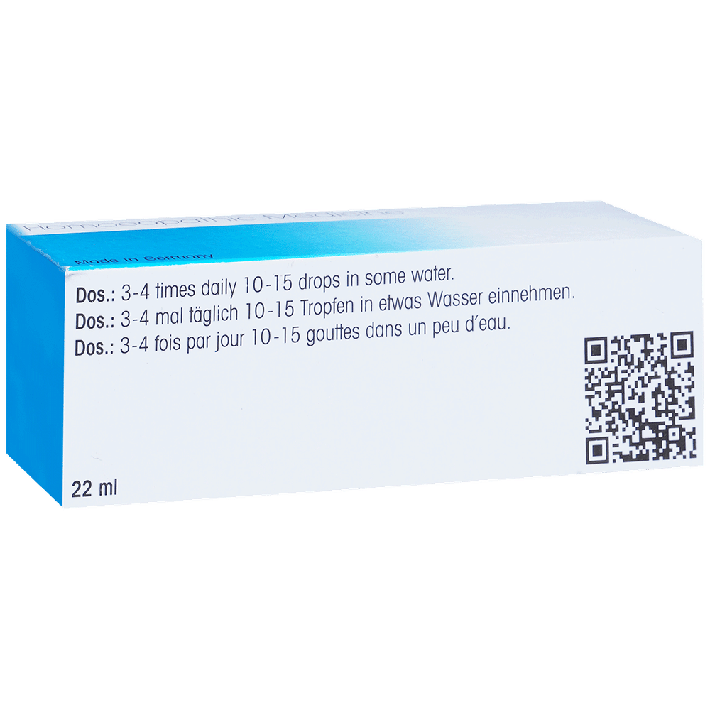 Dr. Reckeweg R72 Pancreas Drop bottle of 22 ml Drop Dr. Reckeweg R72 Pancreas Drop bottle of 22 ml Drop