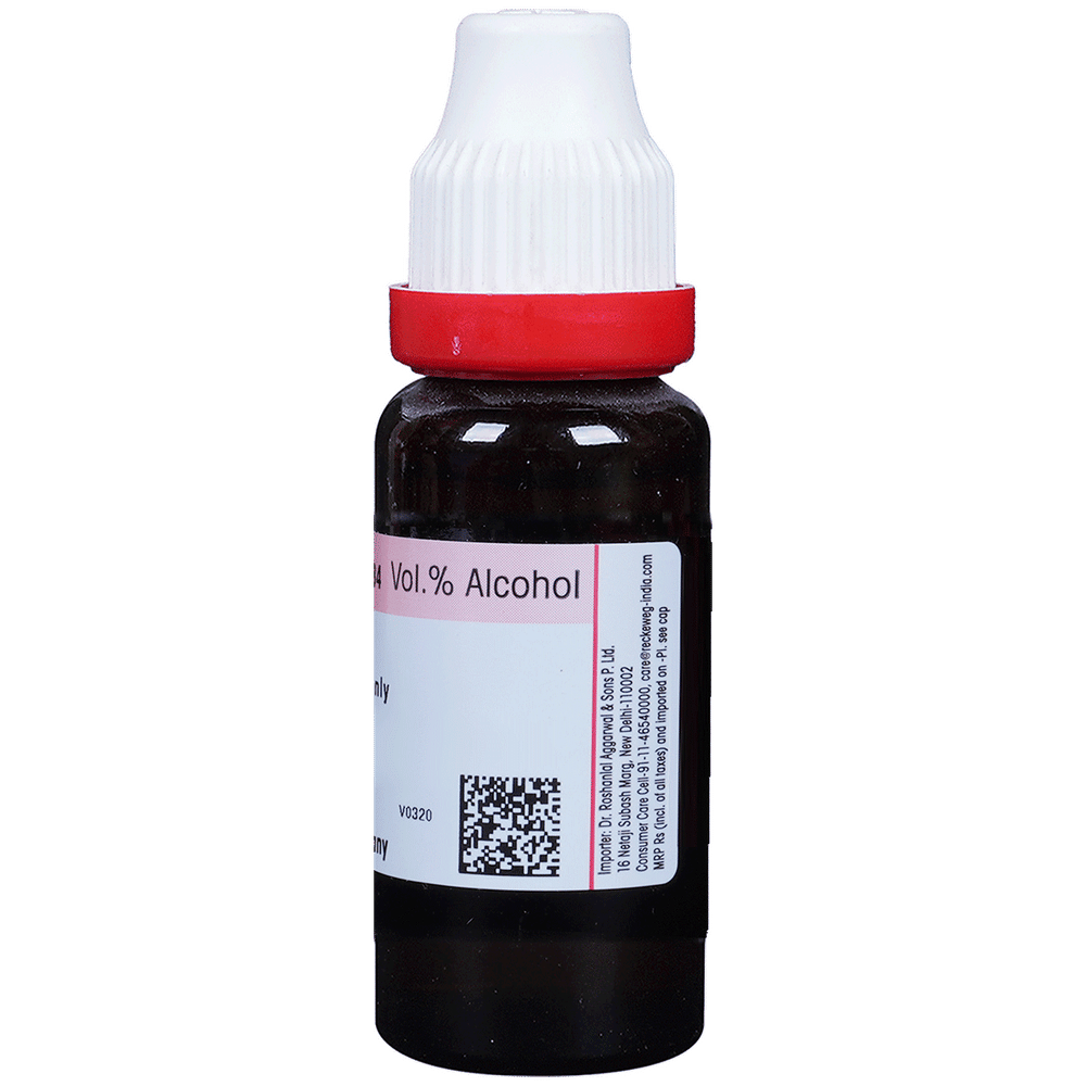 Dr. Reckeweg Thuja Occi Mother Tincture Q bottle of 20 ml Mother Tincture