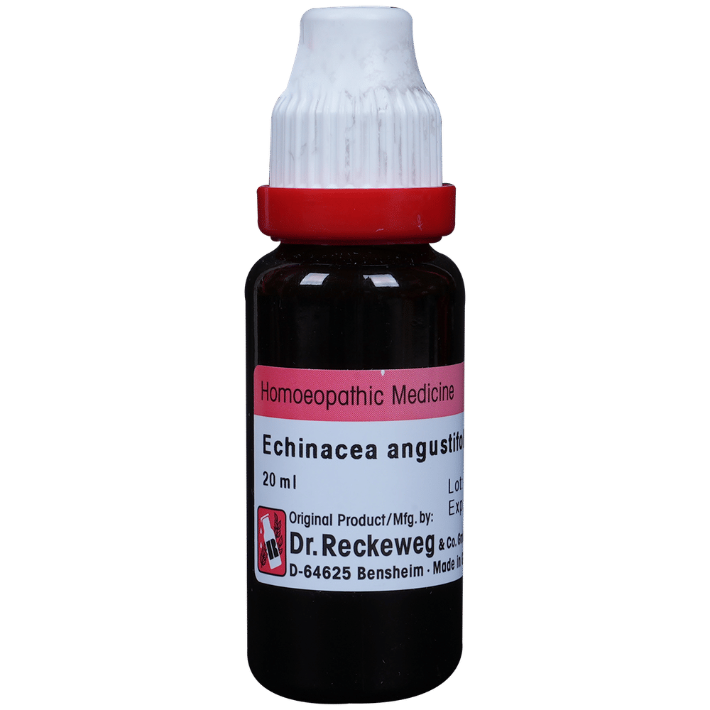 Dr. Reckeweg Echinacea Ang Mother Tincture Q bottle of 20 ml Mother Tincture