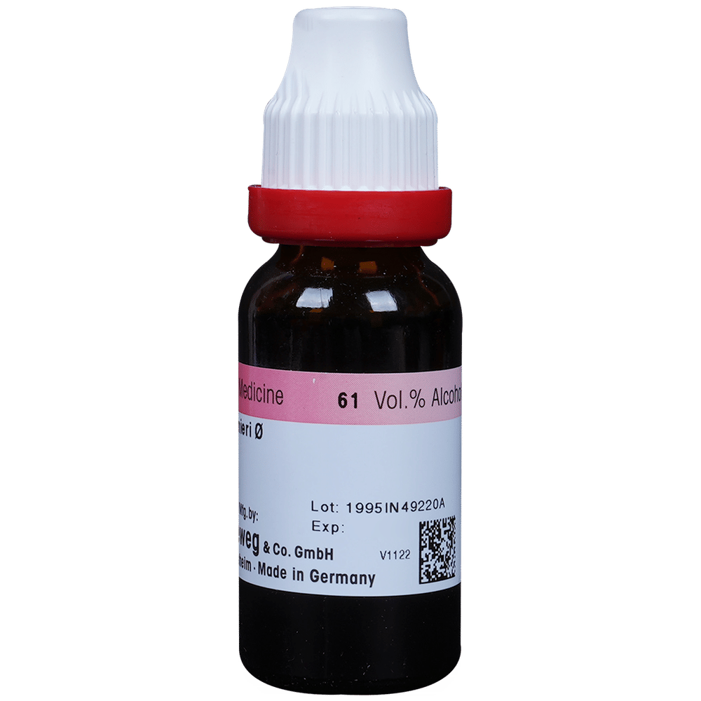 Dr. Reckeweg Bacopa Monnieri (Brahmi) Mother Tincture Q bottle of 20 ml Mother Tincture Dr. Reckeweg Bacopa Monnieri (Brahmi) Mother Tincture Q bottle of 20 ml Mother Tincture