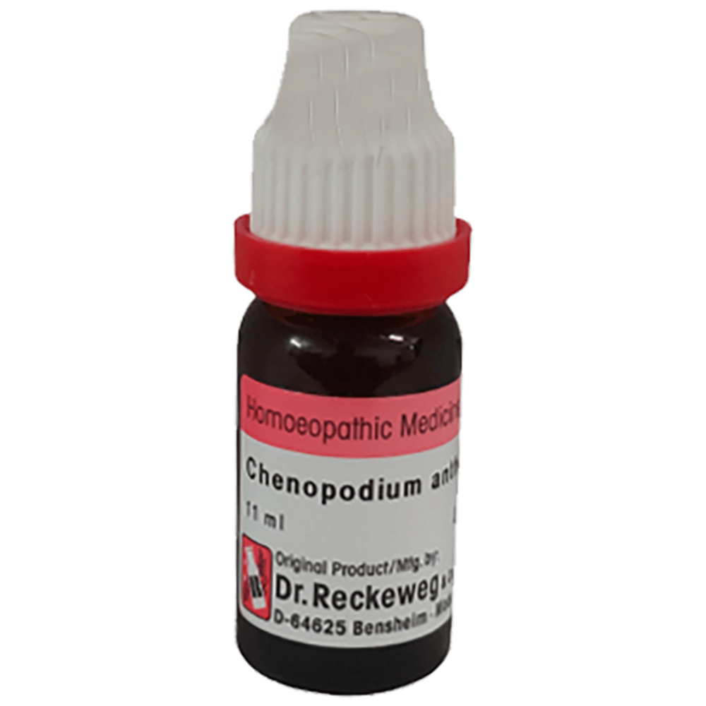 Dr. Reckeweg Chenopodium Anthelminticum Dilution 1M bottle of 11 ml Dilution Dr. Reckeweg Chenopodium Anthelminticum Dilution 1M bottle of 11 ml Dilution