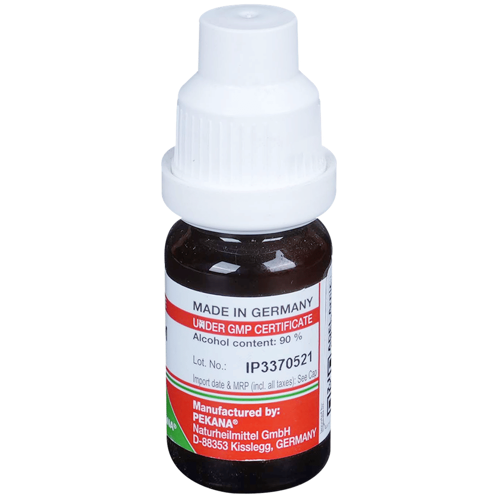 ADEL Arnica Dilution 1M bottle of 10 ml Dilution ADEL Arnica Dilution 1M bottle of 10 ml Dilution