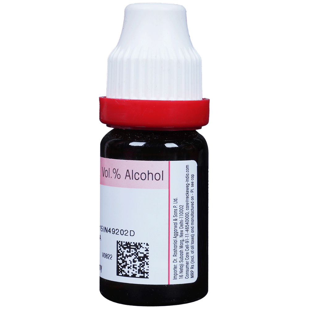 Dr. Reckeweg Baryta Carb Dilution 30 CH bottle of 11 ml Dilution Dr. Reckeweg Baryta Carb Dilution 30 CH bottle of 11 ml Dilution