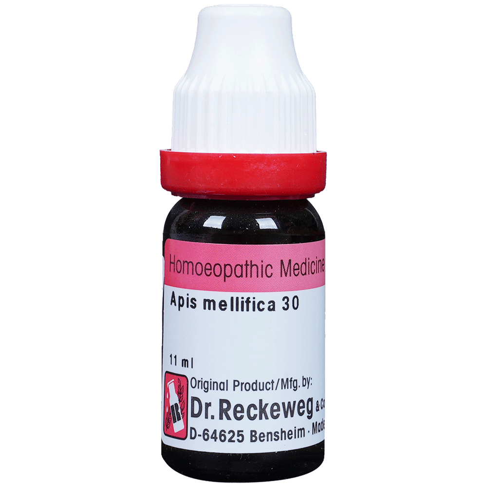 Dr. Reckeweg Apis Mell Dilution 30 CH bottle of 11 ml Dilution