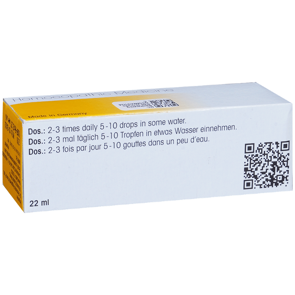 Dr. Reckeweg R36 Nerves Disease Drop bottle of 22 ml Drop Dr. Reckeweg R36 Nerves Disease Drop bottle of 22 ml Drop