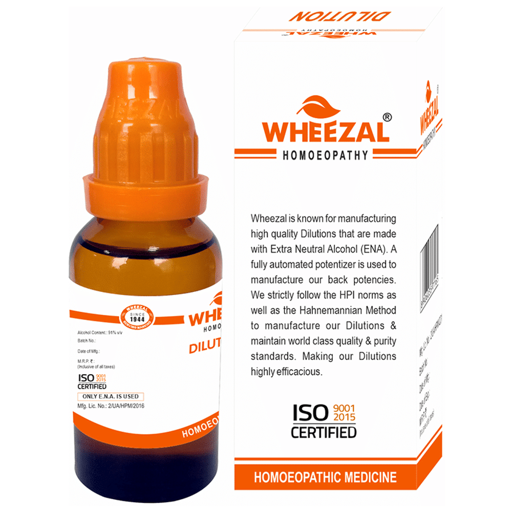 Wheezal Taxus Baccata Dilution 6 bottle of 30 ml Dilution