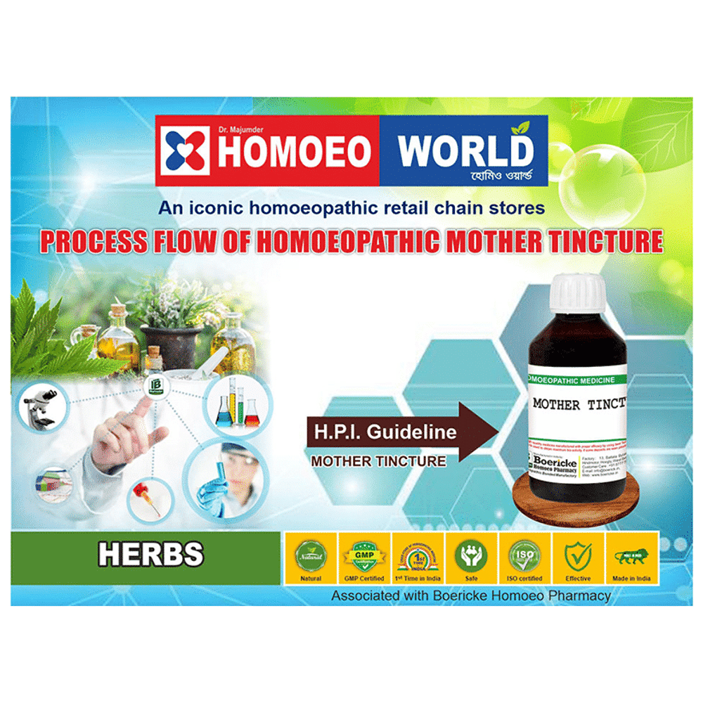 Dr. Majumder Homeo World Holarrhena Antidysenterica Kurchi Mother Tincture (30ml Each) Q combo pack of 6 bottles