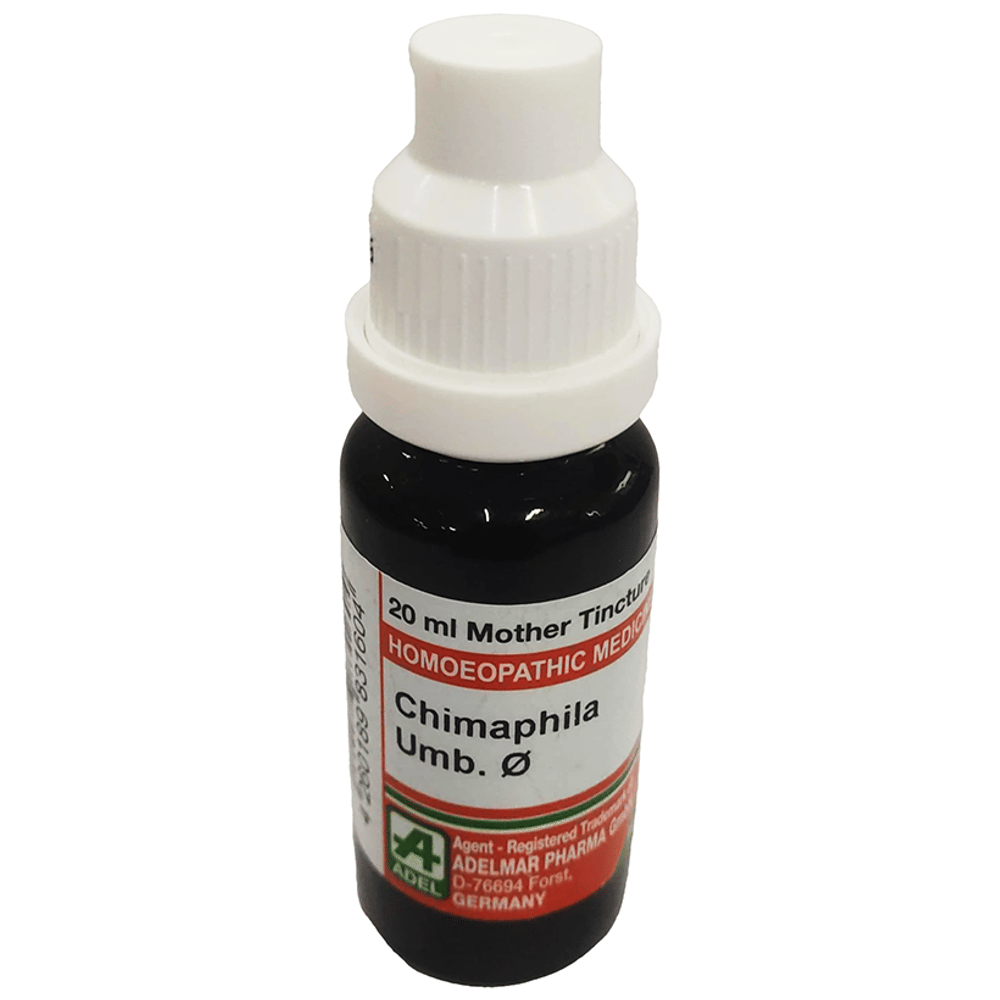 ADEL Chimaphila Mother Tincture Q bottle of 20 ml Mother Tincture