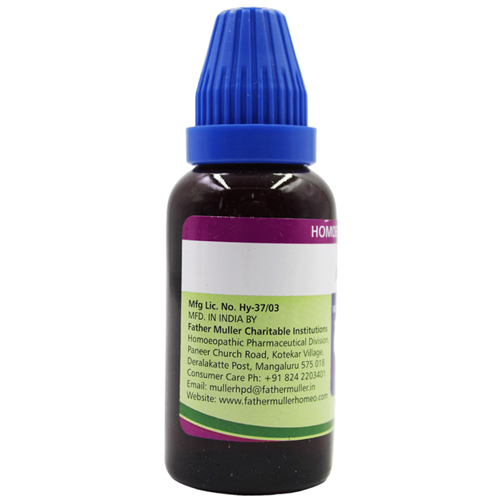 Father Muller Absinthium Drop Q bottle of 30 ml Oral Drops