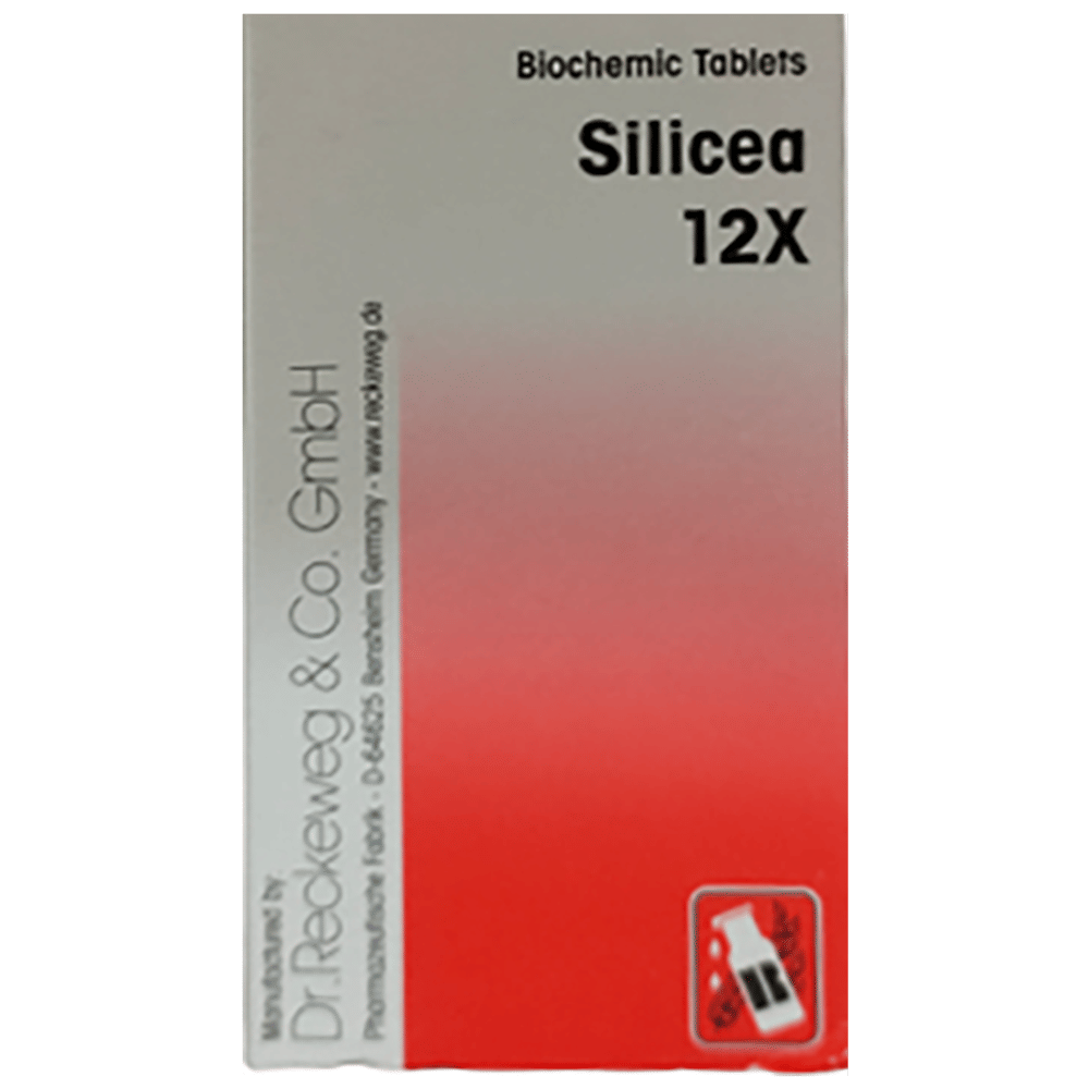 Dr Reckeweg &Co.gmbH Silicea (20gm Each) Biochemic Tablet 12X bottle of 1 Biochemic Tablet