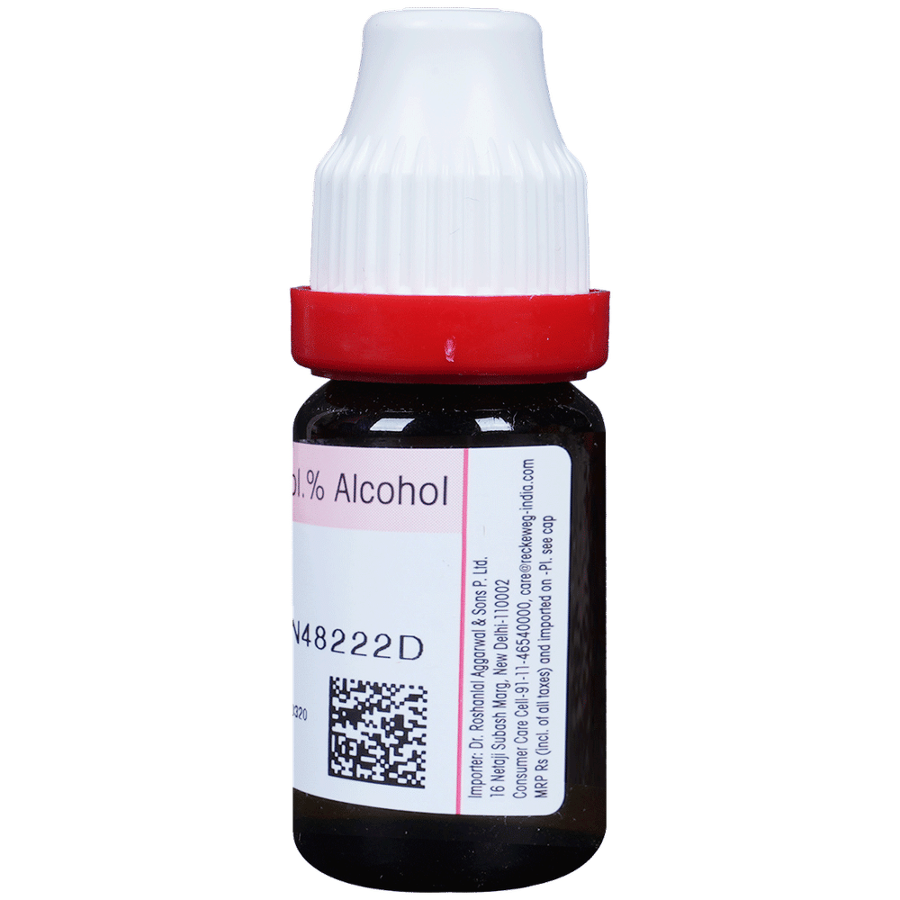 Dr. Reckeweg Pulsatilla Dilution 30 CH bottle of 11 ml Dilution Dr. Reckeweg Pulsatilla Dilution 30 CH bottle of 11 ml Dilution