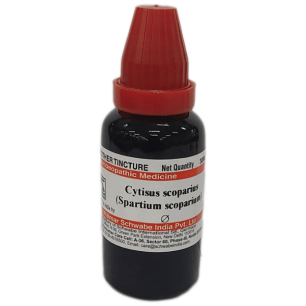 Dr Willmar Schwabe India Spartium Scoparium Mother Tincture Q bottle of 30 ml Mother Tincture