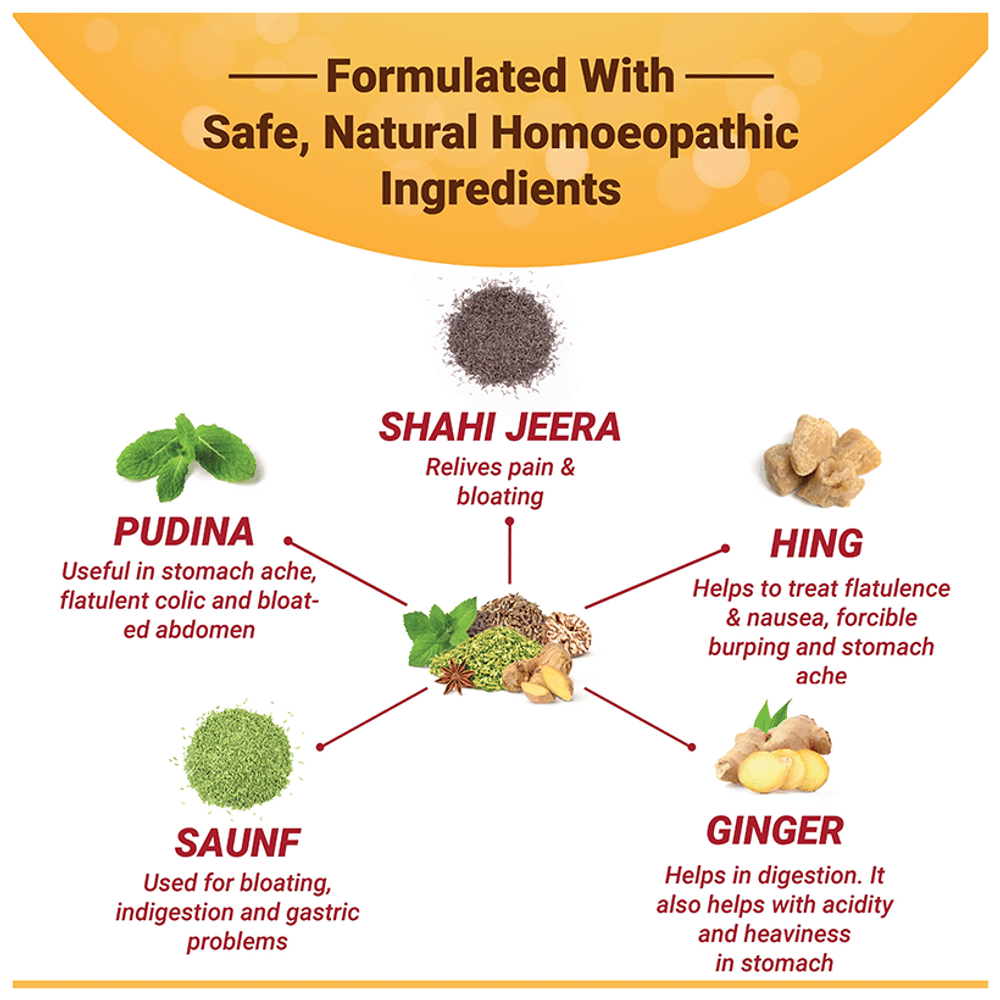 Medisynth Gasgan Eazy Syrup Sugar Free bottle of 450 ml Syrup Medisynth Gasgan Eazy Syrup Sugar Free bottle of 450 ml Syrup