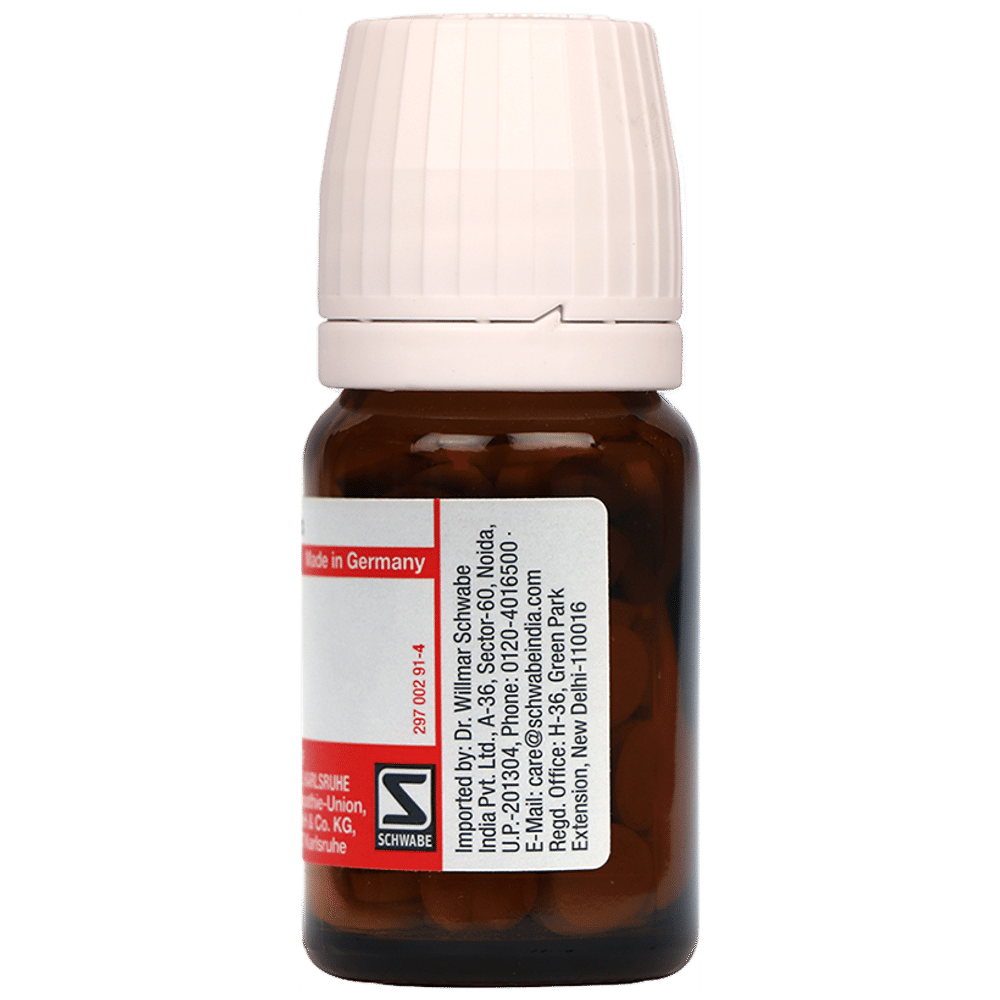 Dr Willmar Schwabe Germany Arsenicum Sulphuratum Flavum Tablet 4X bottle of 20 gm Tablet Dr Willmar Schwabe Germany Arsenicum Sulphuratum Flavum Tablet 4X bottle of 20 gm Tablet