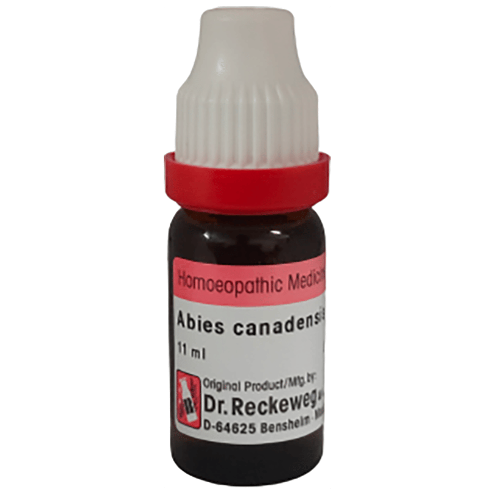 Dr. Reckeweg Abies Canadensis Dilution 6 CH bottle of 11 ml Dilution