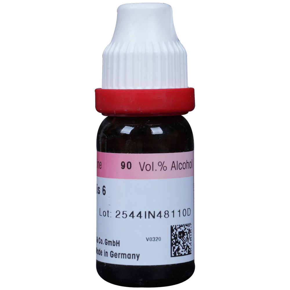 Dr. Reckeweg Carbo Vegetabilis Dilution 6 CH bottle of 11 ml Dilution Dr. Reckeweg Carbo Vegetabilis Dilution 6 CH bottle of 11 ml Dilution