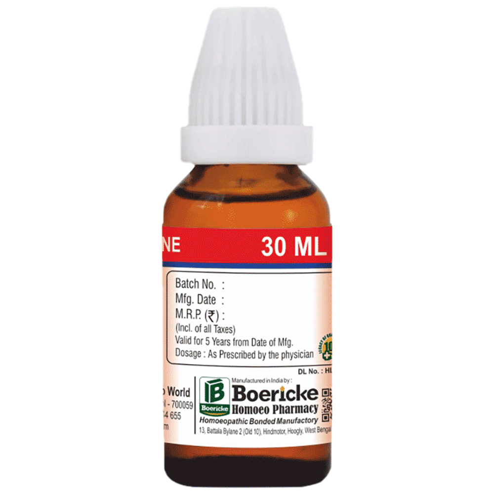 Dr. Majumder Homeo World Anacardium Occidentale Q (30ml Each) combo pack of 2 bottles