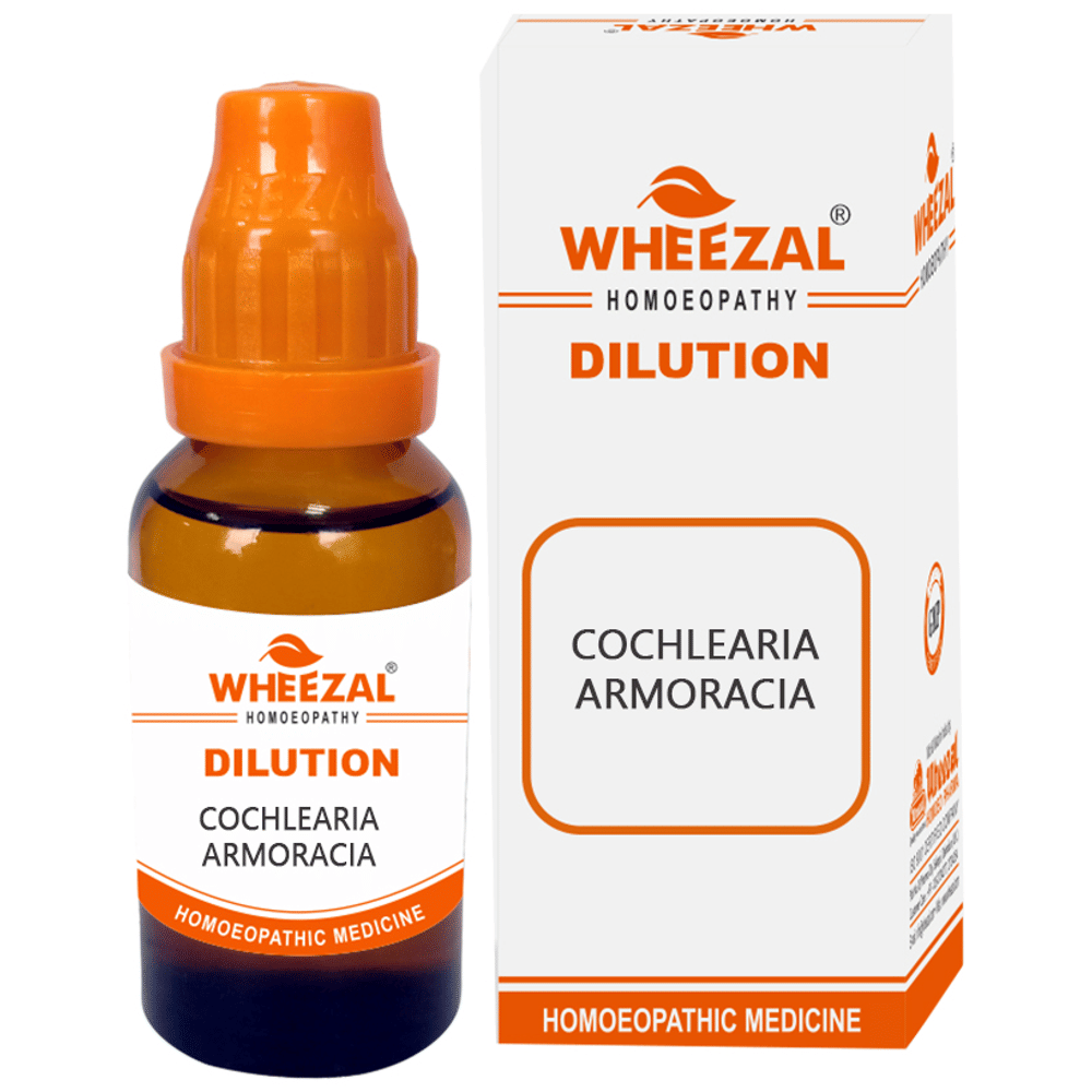Wheezal Cochlearia Amroracia Dilution 3X bottle of 30 ml Dilution