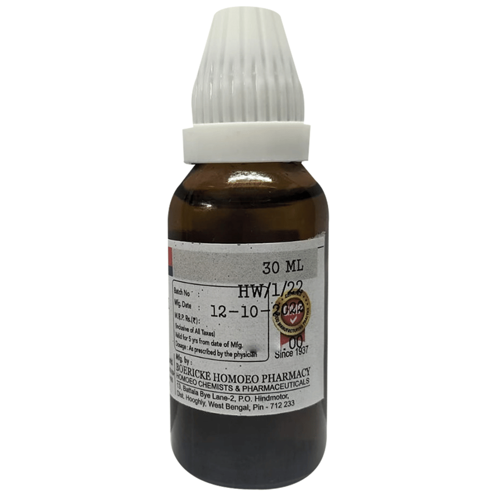 Dr. Majumder Homeo World Arsenicum Album Dilution 3 (30ml Each) combo pack of 3 bottles Dr. Majumder Homeo World Arsenicum Album Dilution 3 (30ml Each) combo pack of 3 bottles