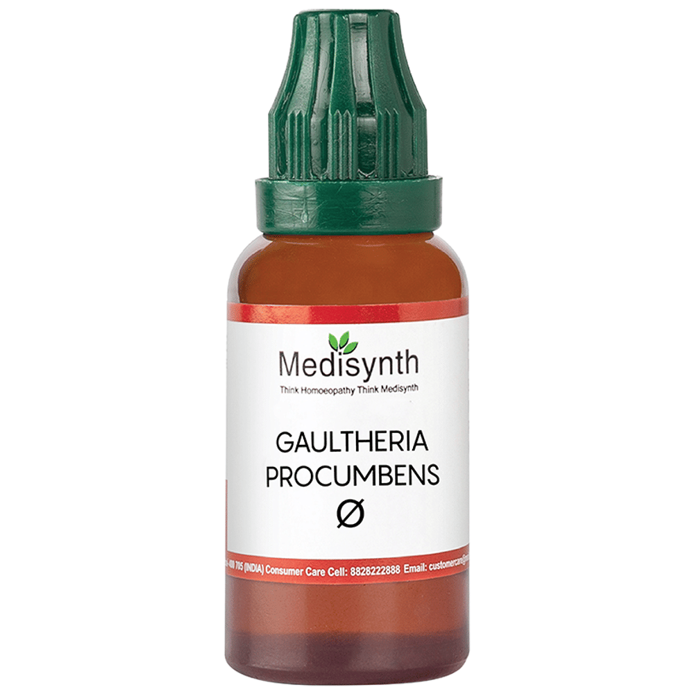 Medisynth Gaultheria Procumbens Mother Tincture Q bottle of 30 ml Mother Tincture Medisynth Gaultheria Procumbens Mother Tincture Q bottle of 30 ml Mother Tincture