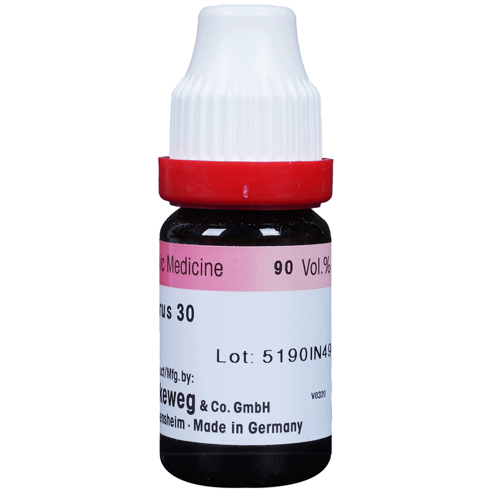 Dr. Reckeweg Phosphorus Dilution 30 CH bottle of 11 ml Dilution Dr. Reckeweg Phosphorus Dilution 30 CH bottle of 11 ml Dilution