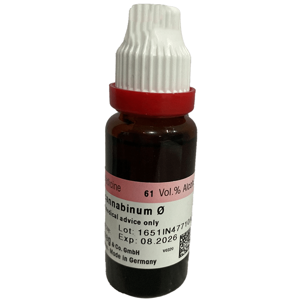 Dr. Reckeweg Apocynum Can Mother Tincture Q bottle of 20 ml Mother Tincture Dr. Reckeweg Apocynum Can Mother Tincture Q bottle of 20 ml Mother Tincture