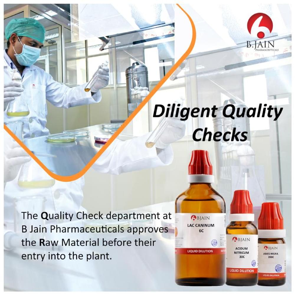 Bjain Bellis Perennis Dilution 1000 CH bottle of 10 ml Dilution Bjain Bellis Perennis Dilution 1000 CH bottle of 10 ml Dilution