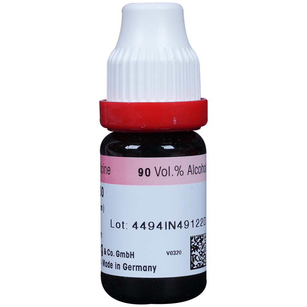 Dr. Reckeweg Lycopodium Dilution 30 CH bottle of 11 ml Dilution Dr. Reckeweg Lycopodium Dilution 30 CH bottle of 11 ml Dilution