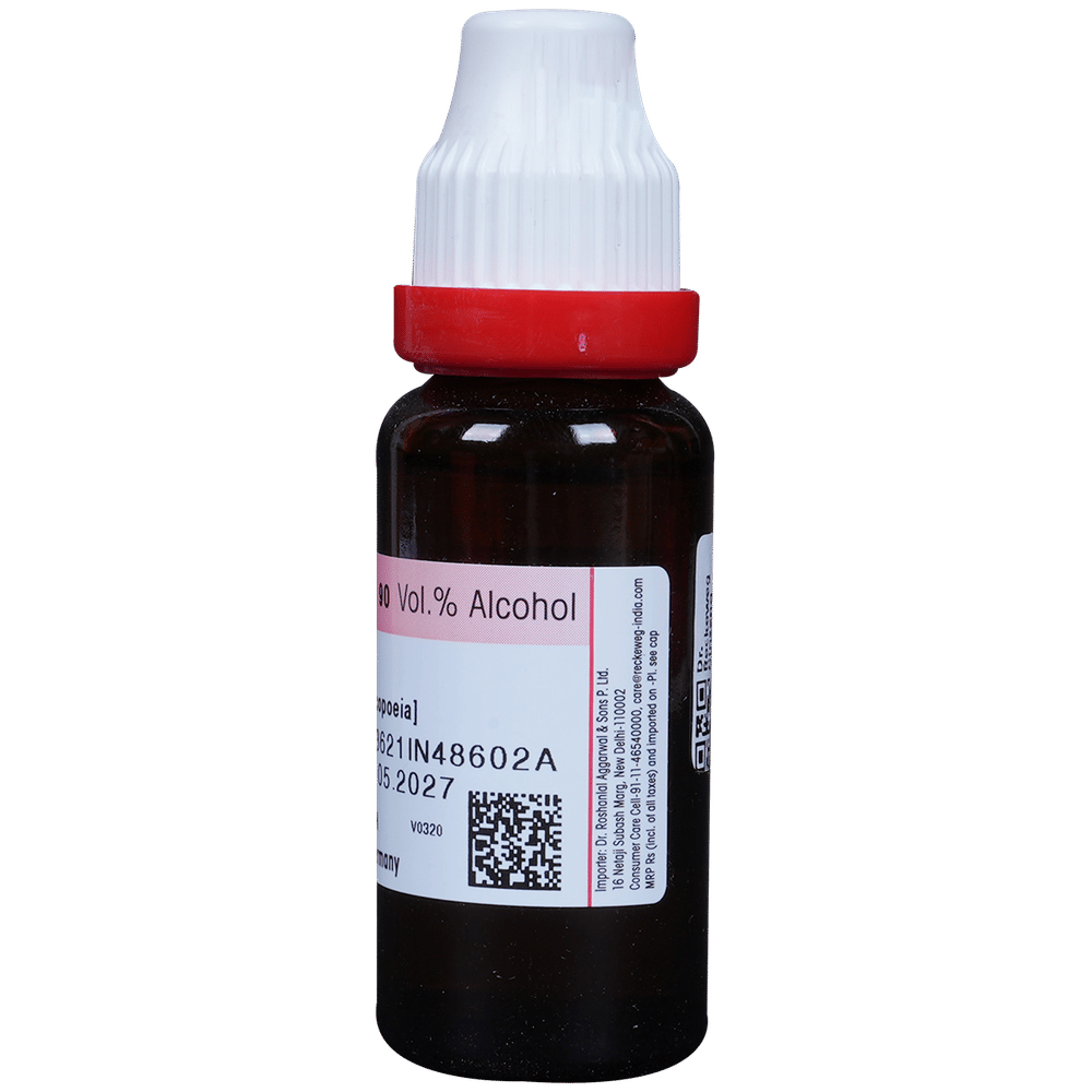 Dr. Reckeweg Ginseng Mother Tincture Q bottle of 20 ml Mother Tincture