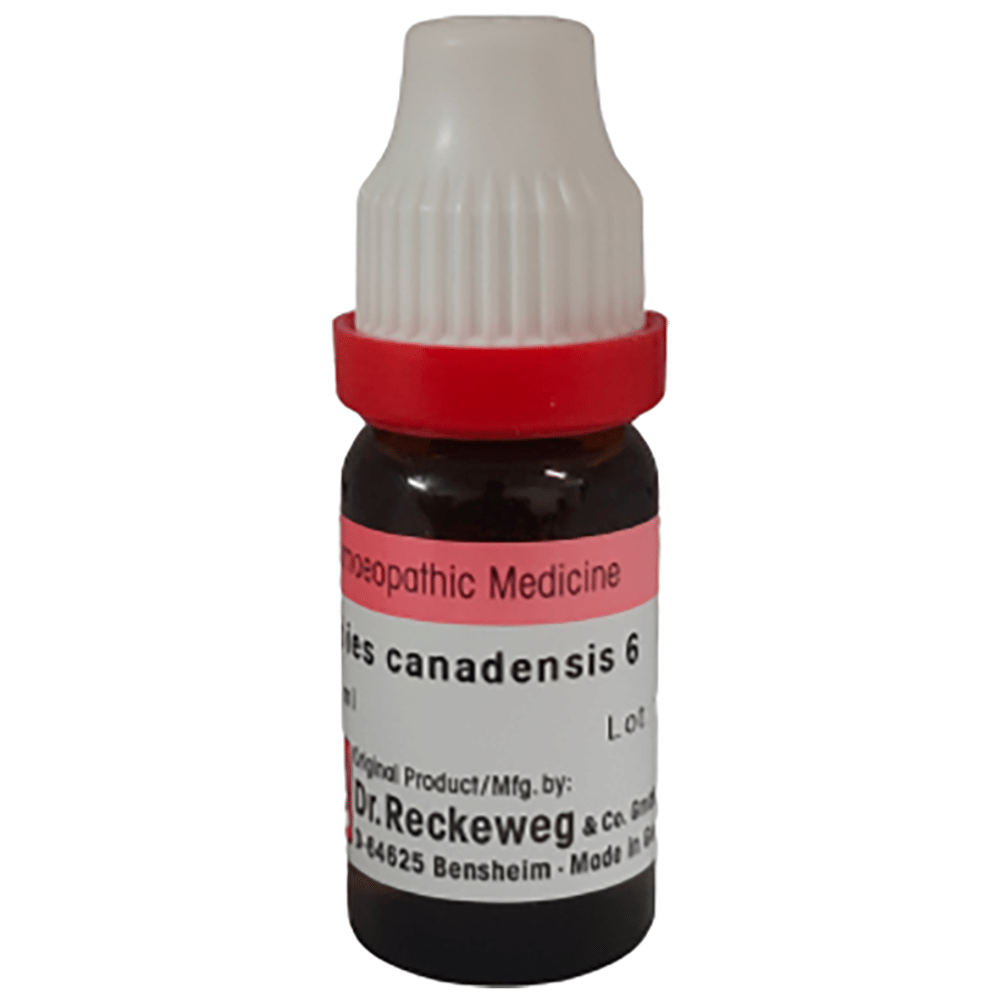 Dr. Reckeweg Abies Canadensis Dilution 6 CH bottle of 11 ml Dilution