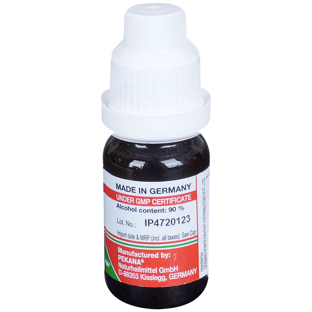 ADEL Eupatorium Perfoliatum Dilution 200 bottle of 10 ml Dilution ADEL Eupatorium Perfoliatum Dilution 200 bottle of 10 ml Dilution