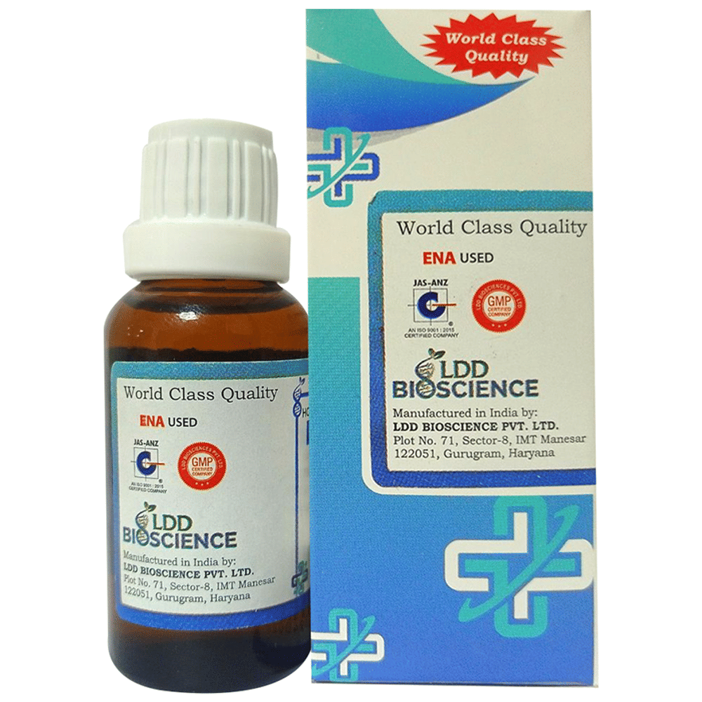 LDD Bioscience Sticta Pulmonaria Dilution 1000 CH bottle of 30 ml Dilution