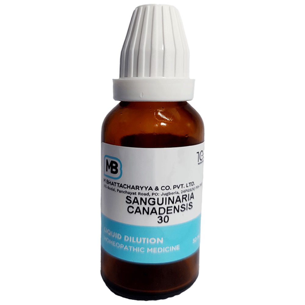 MB Dilution Sanguinaria Canadensis 30 bottle of 30 ml Dilution MB Dilution Sanguinaria Canadensis 30 bottle of 30 ml Dilution