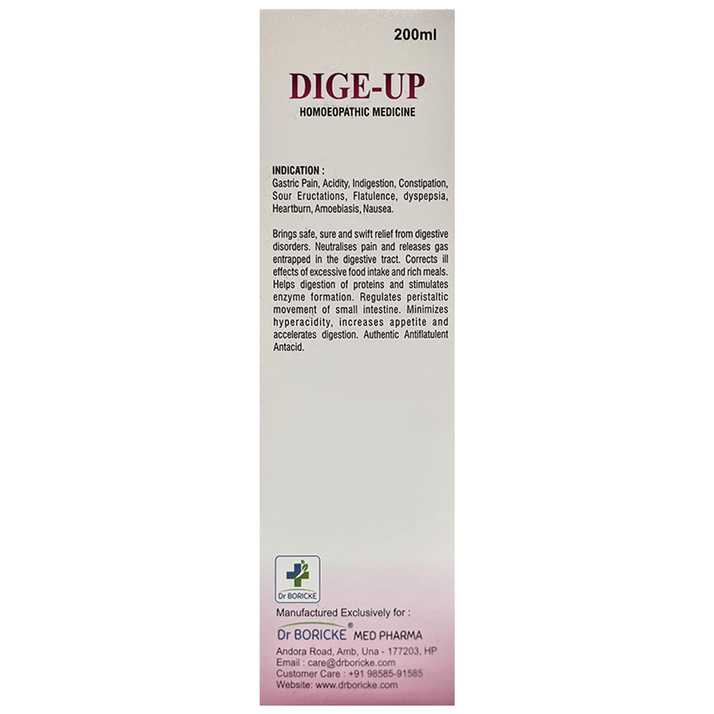 Dr Boricke Dige-Up Syrup Mint bottle of 200 ml Syrup Dr Boricke Dige-Up Syrup Mint bottle of 200 ml Syrup