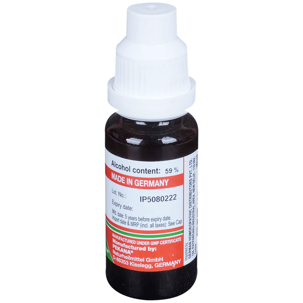 ADEL Hydrangea Mother Tincture Q bottle of 20 ml Mother Tincture ADEL Hydrangea Mother Tincture Q bottle of 20 ml Mother Tincture