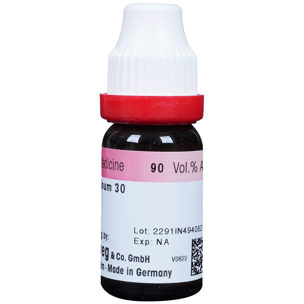 Dr. Reckeweg Caladium Seg Dilution 30 CH bottle of 11 ml Dilution Dr. Reckeweg Caladium Seg Dilution 30 CH bottle of 11 ml Dilution
