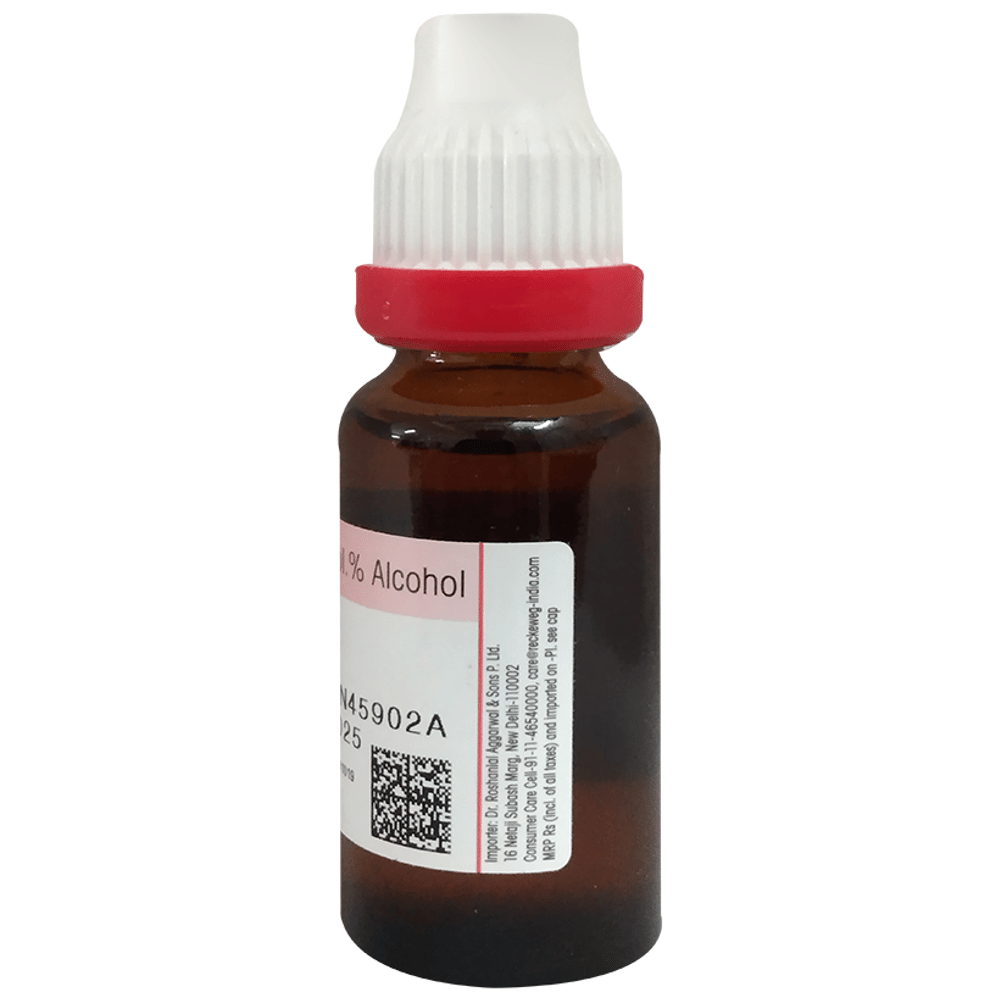 Dr Reckeweg &Co.gmbH Echinacea Purpurea Mother Tincture Q bottle of 20 ml Mother Tincture Dr Reckeweg &Co.gmbH Echinacea Purpurea Mother Tincture Q bottle of 20 ml Mother Tincture