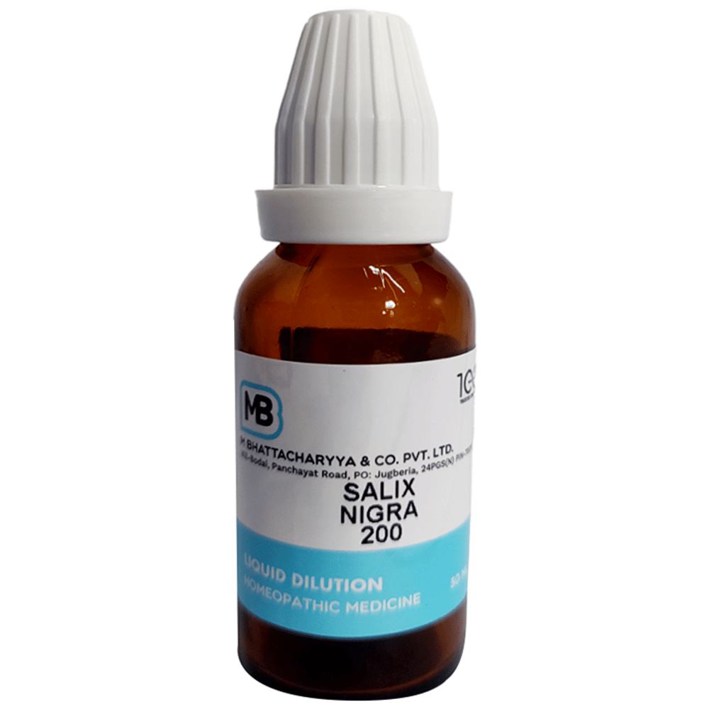 MB Salix Nigra Dilution 200 bottle of 30 ml Dilution