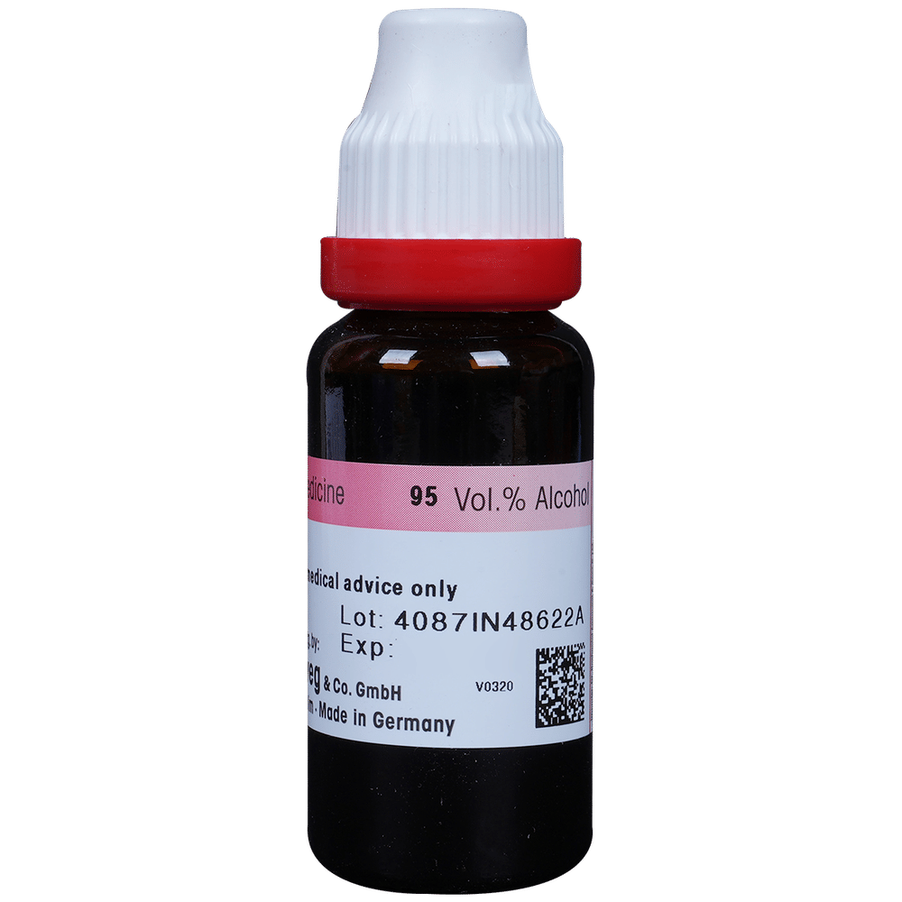 Dr. Reckeweg Jaborandi Mother Tincture Q bottle of 20 ml Mother Tincture