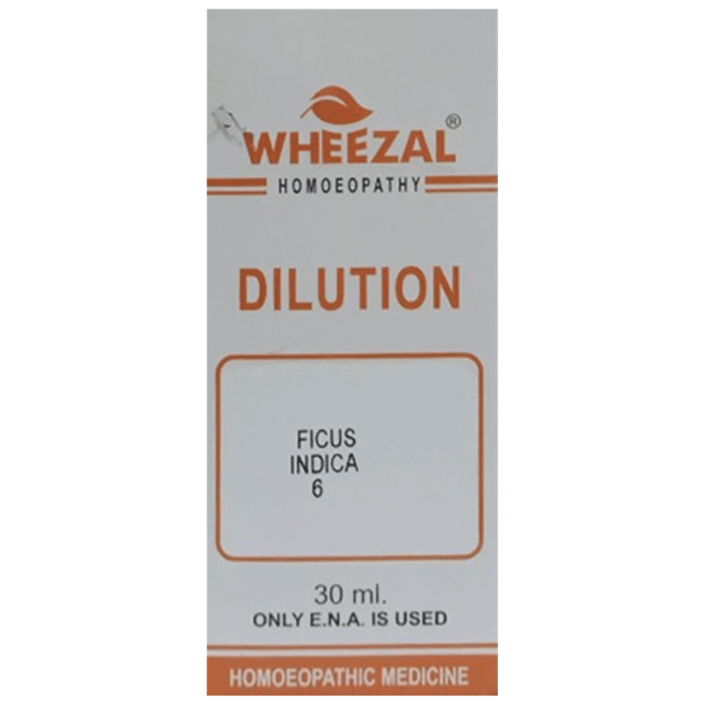 Wheezal Ficus Indica Dilution 6 bottle of 30 ml Dilution